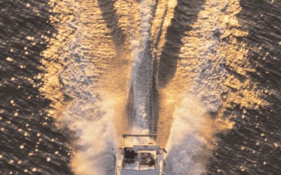 Virginia’s Chesapeake Bay